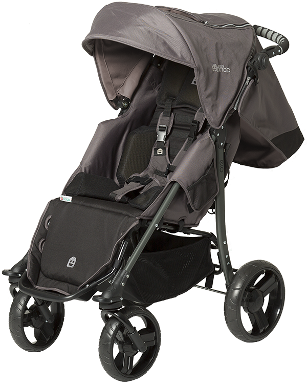 Understanding The Special Tomato EIO Push Chair