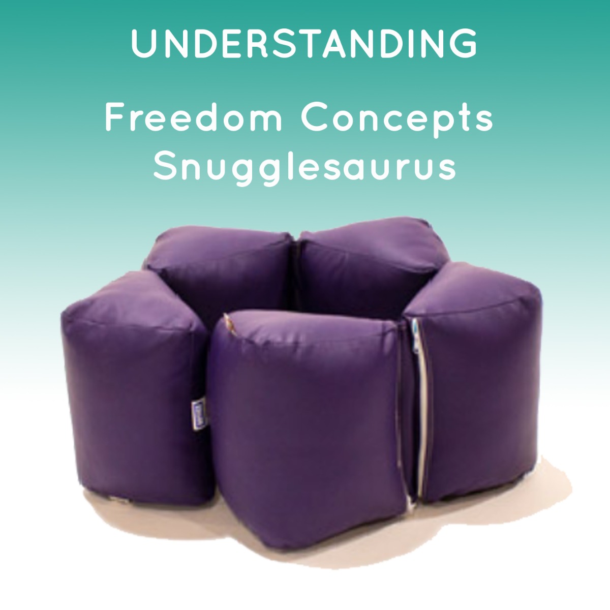 Understanding The Freedom Concepts Snugglesauraus