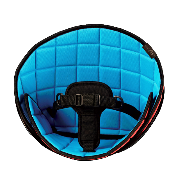 R82 Scallop